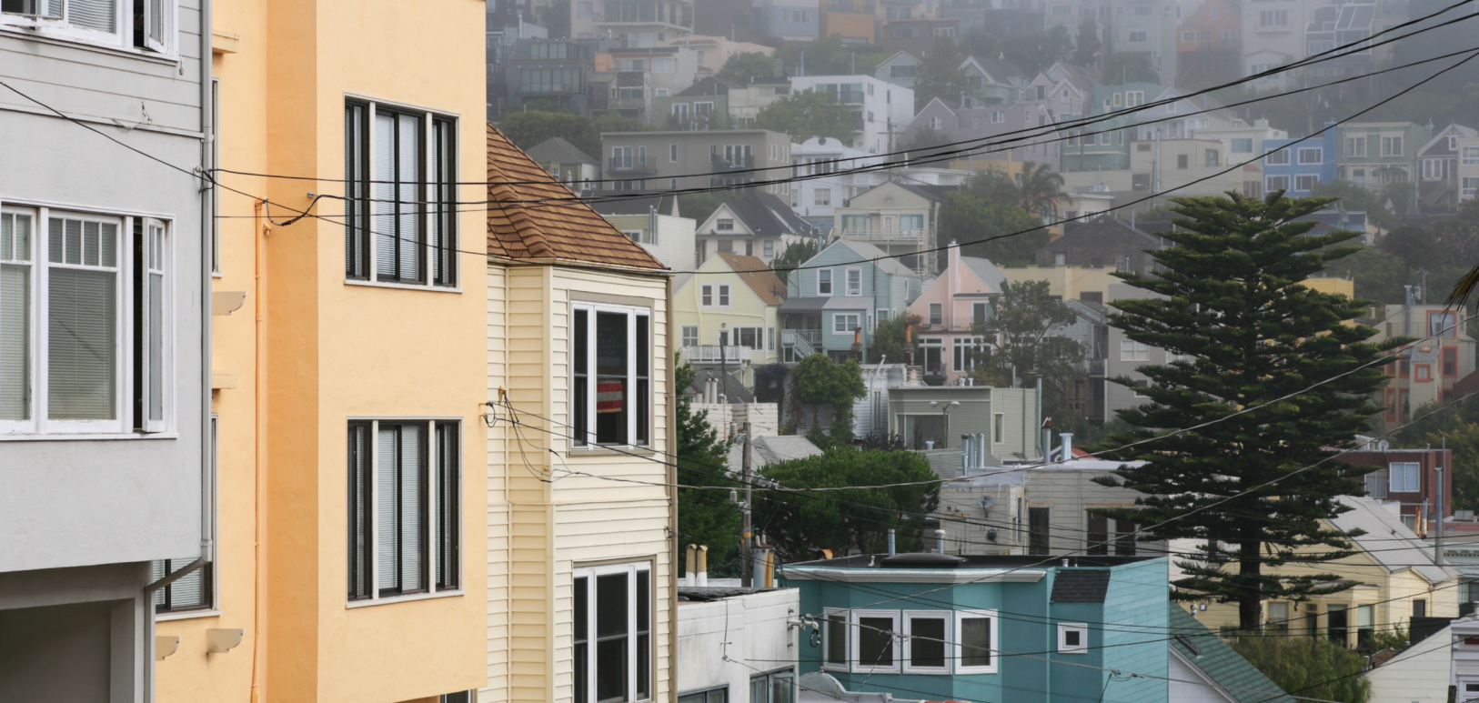 Photo of a residential neighborhood with multiple houses on a hillside. The houses are a mix of pastel and muted colors, with architectural styles typical of San Francisco. The foreground features utility wires and a variety of trees, including a large evergreen. The scene is slightly foggy, adding a misty, atmospheric quality to the image.