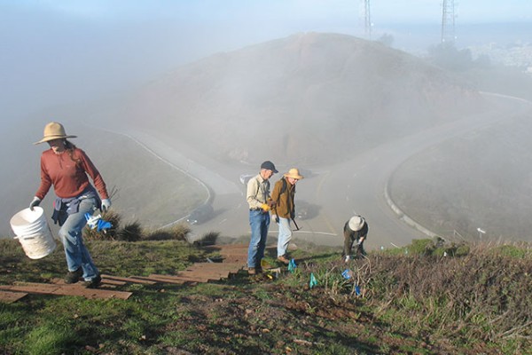 SFE staff and volunteers walk up twin peak hills in San Francisco to tend to the natural environment