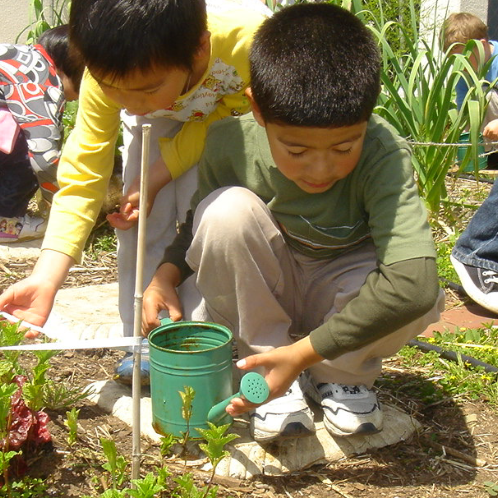 Children gardening together.