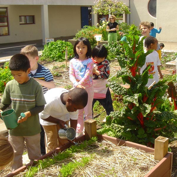 Children gardening in planter boxes