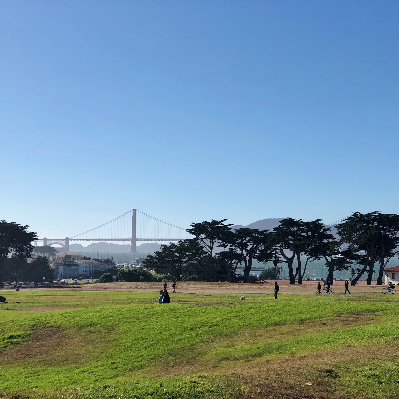 Picture of Marina green looking over the grass towards the bay with the Golden Gate Bridge in the background
